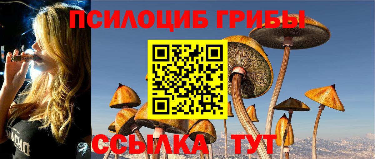 Галлюциногенные грибы прущие грибы  Вход с VPN  Ливны 